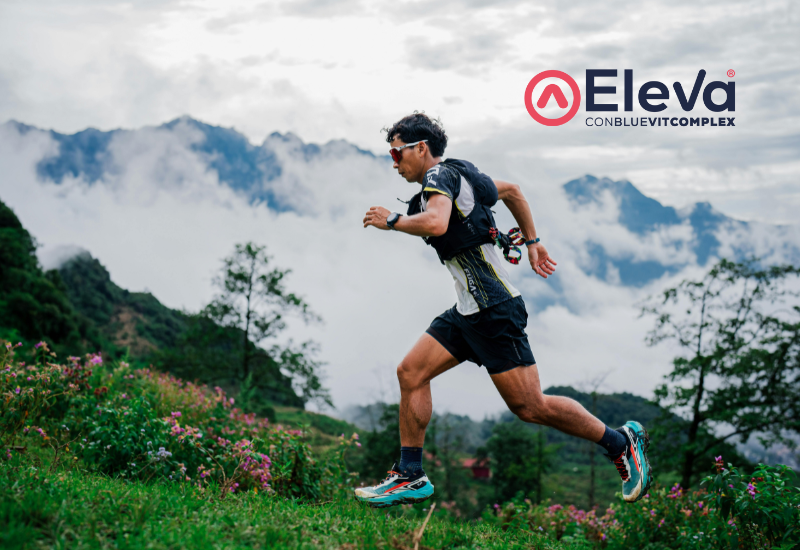 Eleva Performax: perché l’integrazione funziona meglio quando è divisa per fasi